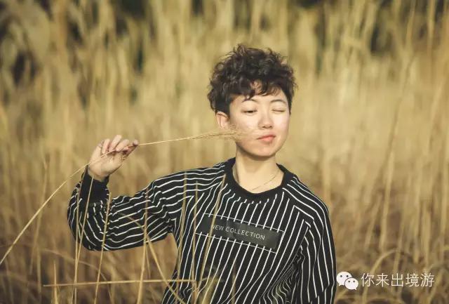 你来说旅行|猫火火“绘”旅行揭秘你所不知道的济州