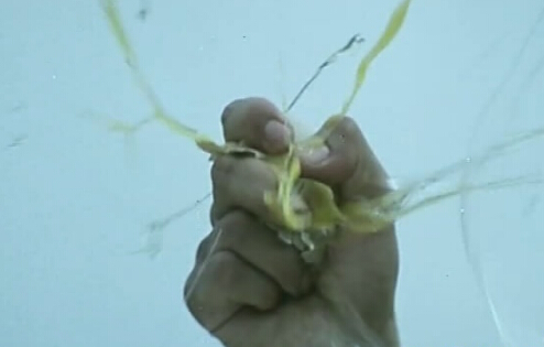 他从没拍过烂片，但这一部烂片就是他出品的《铁拳无敌》昆汀