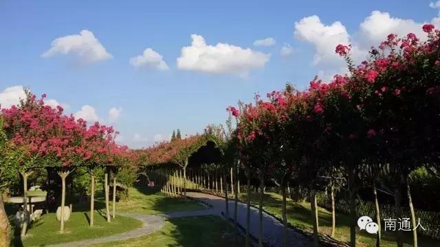 南通人可以免费的景点,南通人都去哪里玩