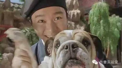 星爷，我为你泪流满面！（内附3D环绕音乐）