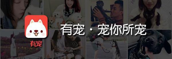 宠物之间的朋友圈 (朋友圈只晒宠物)