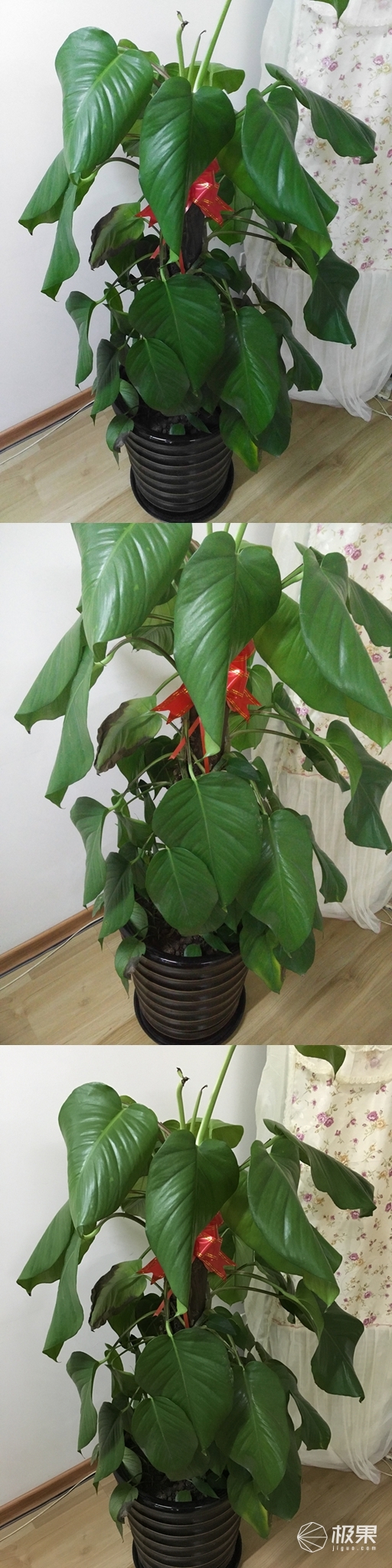 iphone6s和锤子t2哪个好,锤子t2如何进入recovery