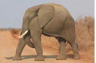 懒癌患者是什么症状,懒癌症状表现