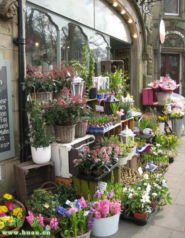 要开花店需要掌握哪些知识,开花店需要什么手续和费用