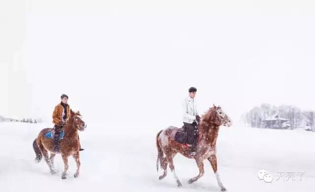 是胡不是霍，2016，最温情的冬季恋歌！虐死单身狗，纯虐！