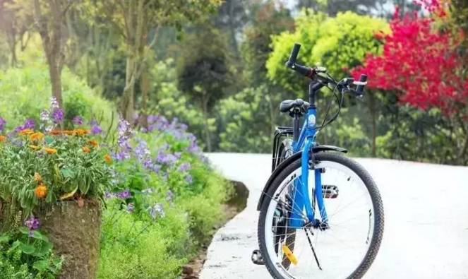 重庆比较高端的带会议室农家乐,重庆哪些好的农家乐可以玩