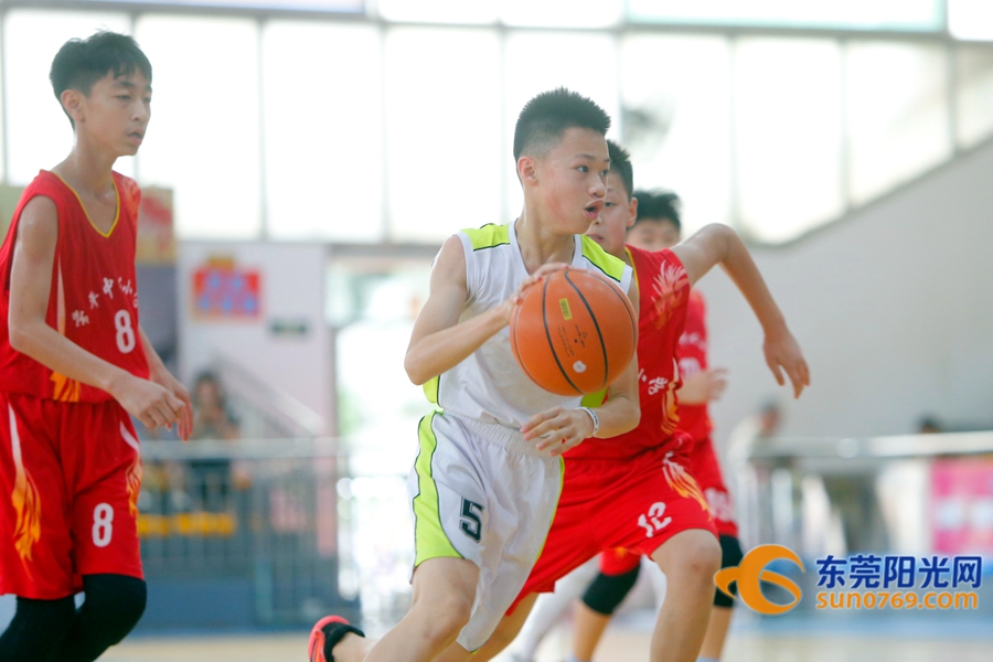 东莞市小学篮球赛2021,2020年东莞市小学篮球锦标赛