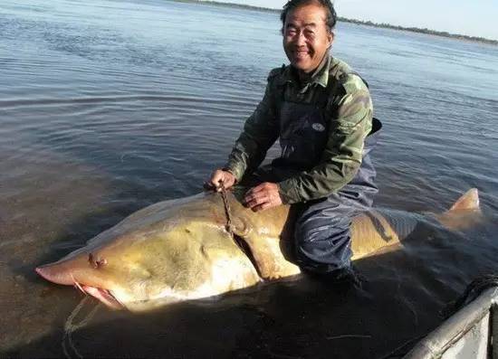 榛戦緳姹熼噹鐢熼矡槌囬奔浜嬩欢,榛戦緳姹熼硣楸肩殑鏁呬簨