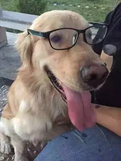 D180-差点儿五尸一命的“猫劫日”