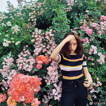 成都周边玫瑰花景点,成都周边玫瑰景点推荐一下