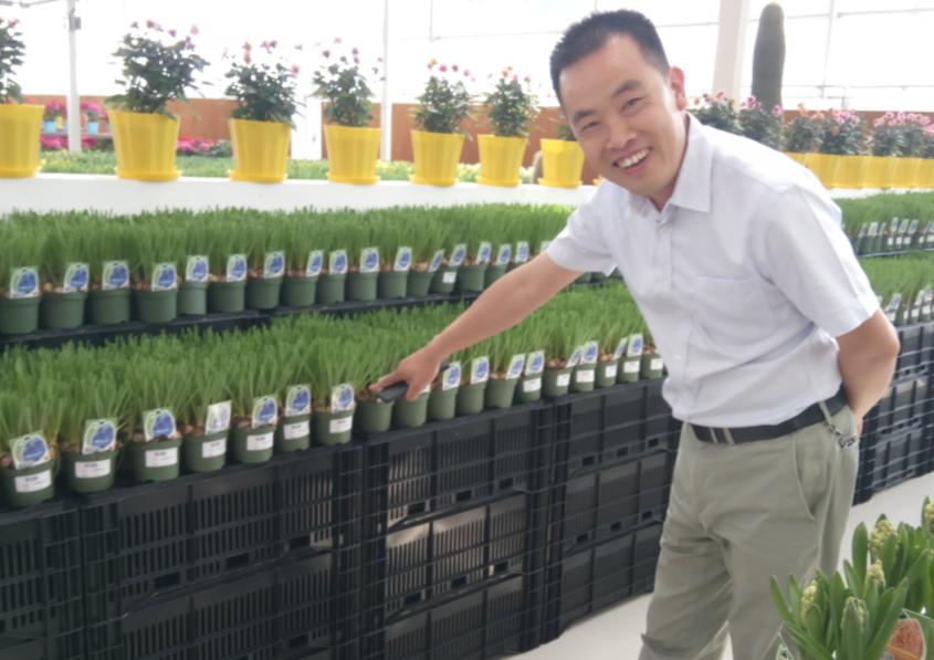 我为乡村振兴做贡献,我为乡村振兴发展做贡献