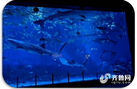 端午节旅游攻略自驾游山东,端午小长假适合去哪玩自驾