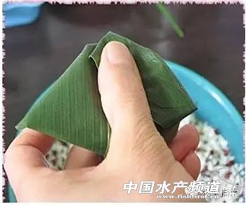 海鲜粽子一定要干海鲜吗,海鲜粽子需要什么材料
