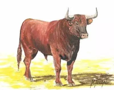 这只旷野露JJ黑牛是如何逆袭成西班牙文化符号的？认识板鸭圣斗牛