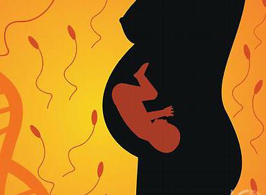 宝宝的胎盘可以吃吗有没有啥说法,胎盘可以吃吗小孩子