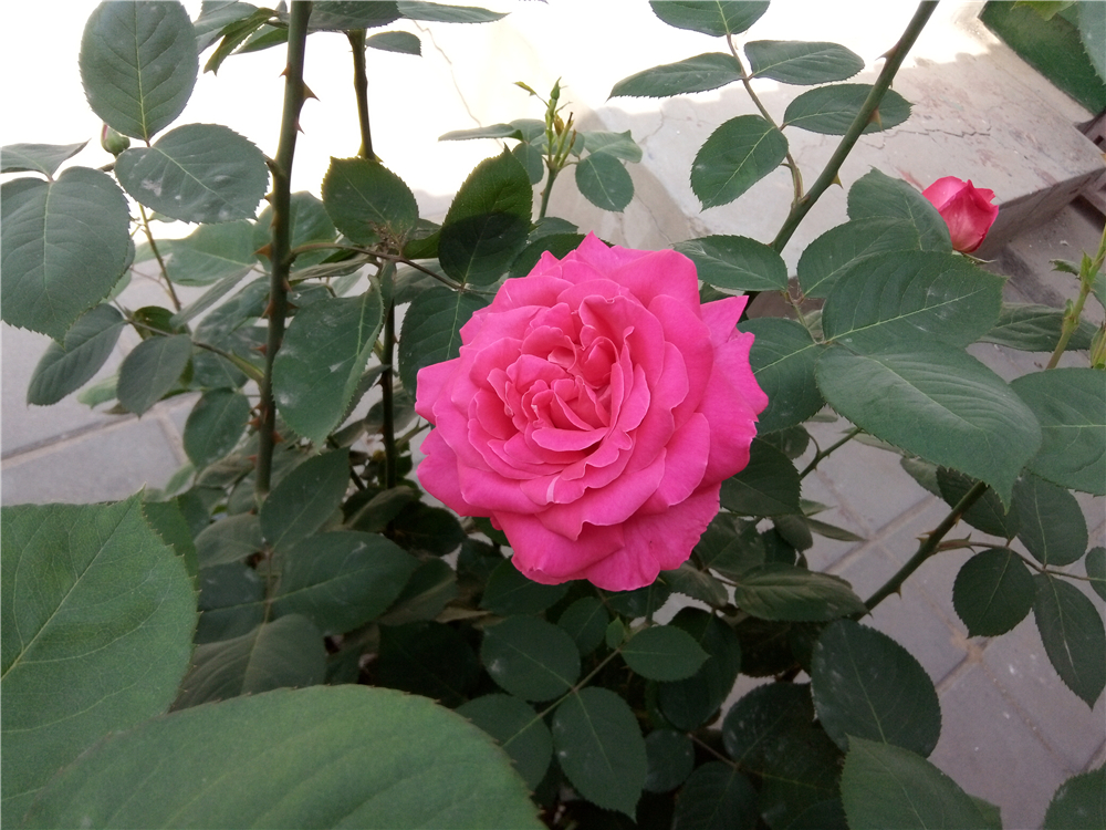 不一样的视角让你享用感官盛宴-ivviK5裸眼3D手机体验