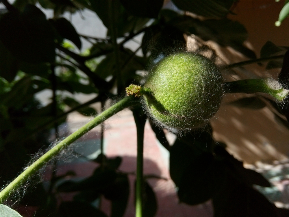 不一样的视角让你享用感官盛宴-ivviK5裸眼3D手机体验