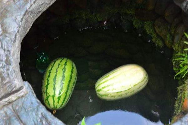 家庭夏天冰箱自制咸肉,野外自制冰箱