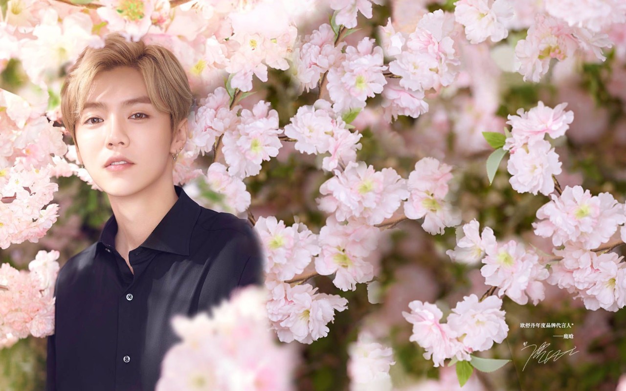 一周时尚要闻回忆,一周时尚要闻