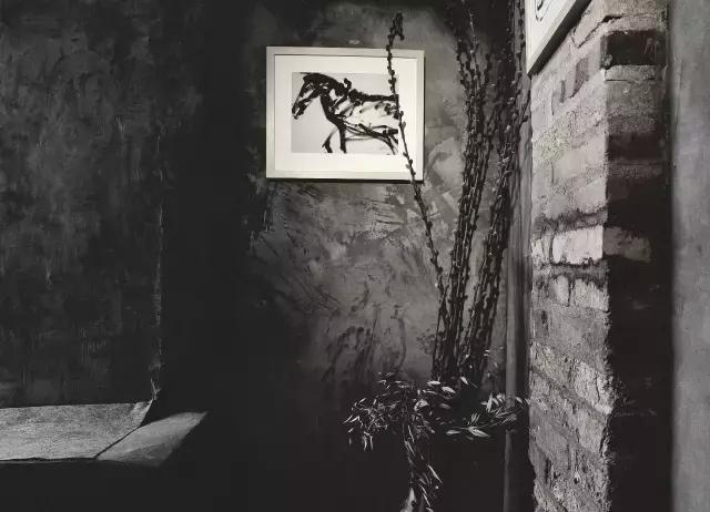 TALKXM｜你听过“路灯计划”吗？