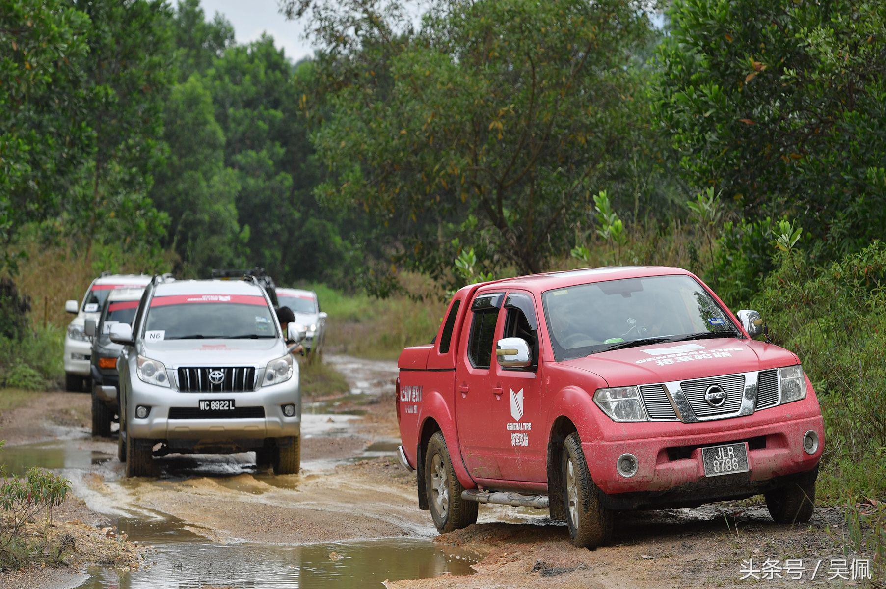 鲨鱼轮胎和普通轮胎区别,轮胎和鲨鱼皮哪个好