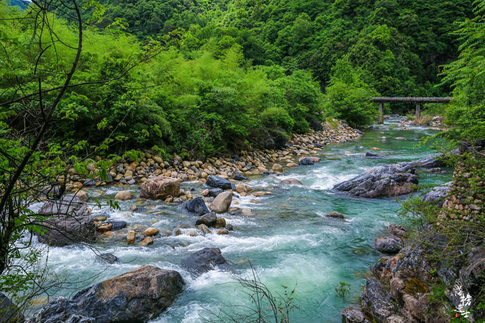 哪儿有原始森林拍照的景区,冬天适合拍照的原始森林