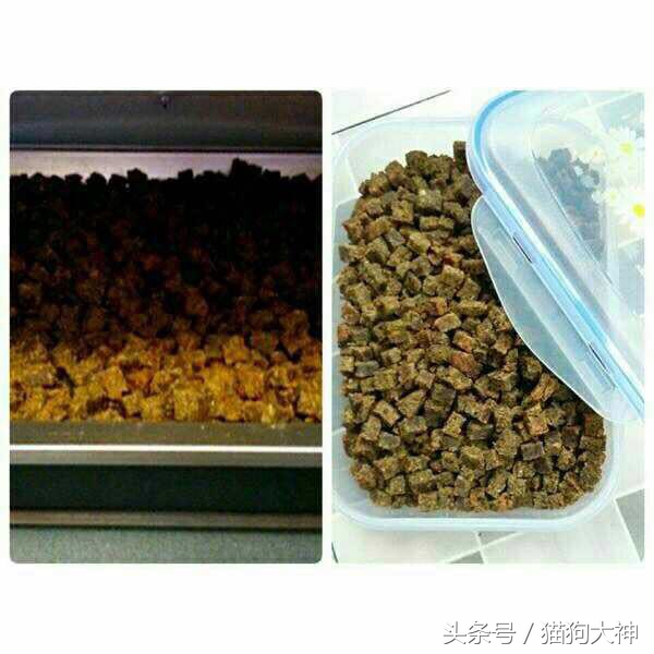 自制狗狗狗粮推荐,怎样自制经济方便的土狗狗粮