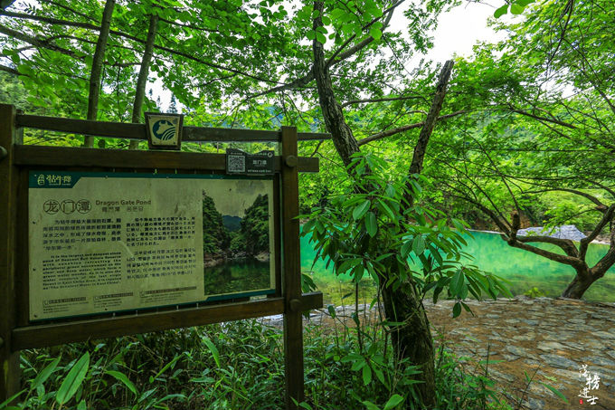 哪儿有原始森林拍照的景区,冬天适合拍照的原始森林