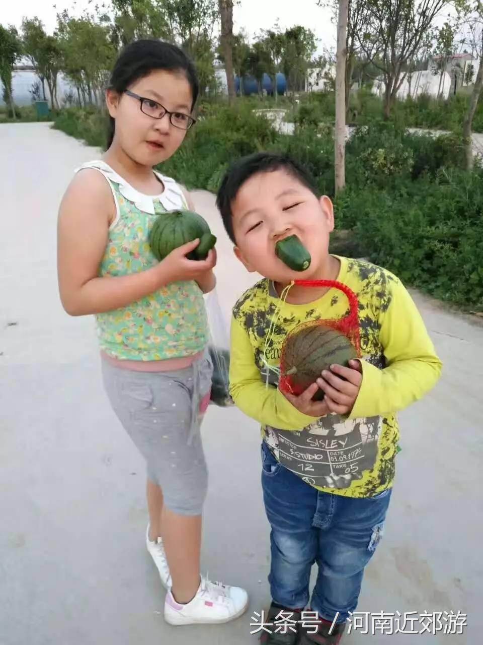 在开封可望庄园-端午节遇上儿童节｜聚享亲情-寓教于乐