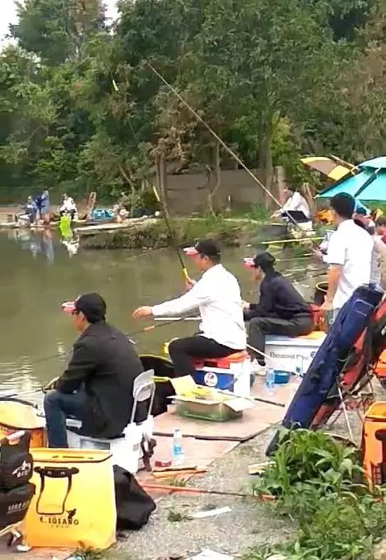 福建南平钓鱼大赛,福建南平郊野钓鱼大赛