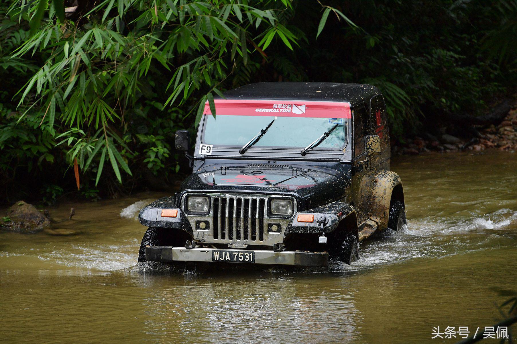 鲨鱼轮胎和普通轮胎区别,轮胎和鲨鱼皮哪个好