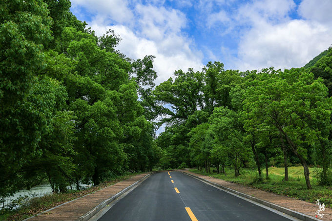 哪儿有原始森林拍照的景区,冬天适合拍照的原始森林