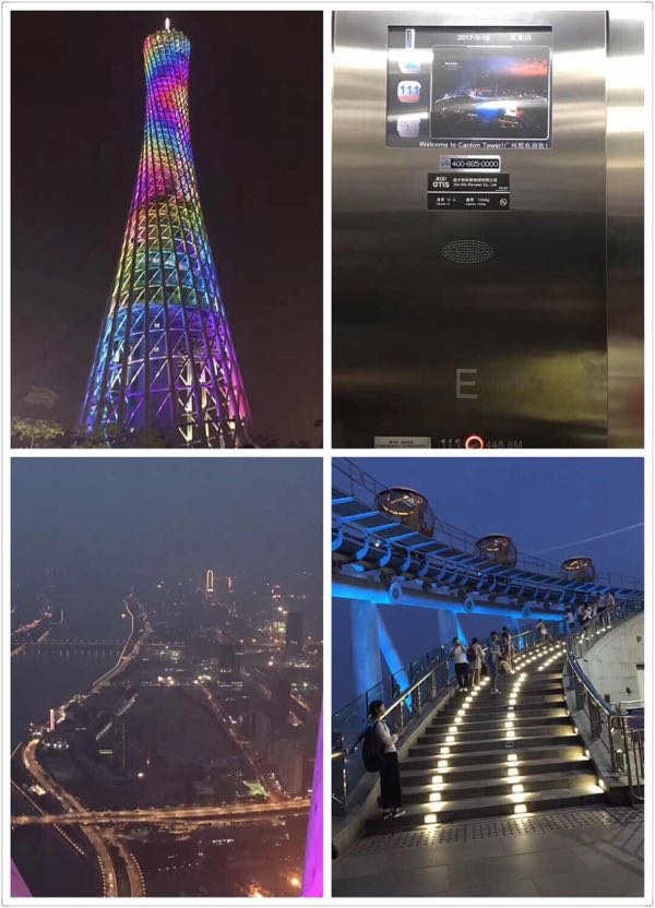 带娃广州长隆旅游攻略,广州长隆最全游玩攻略带孩子