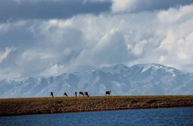 北京到青海自驾游最佳路线,北京至青海自驾游攻略
