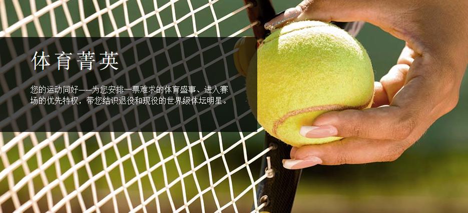 最贵的vertu手机是哪一款,限量版vertu手机