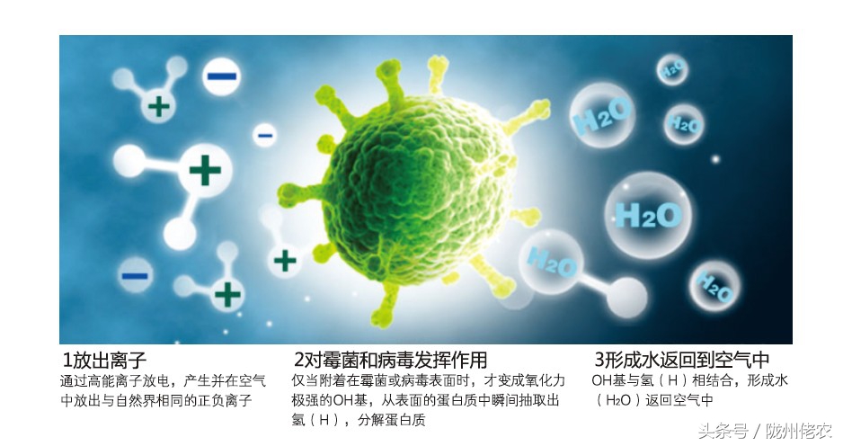 家里装修的味道怎么去除,除甲醛净化器怎么有臭味