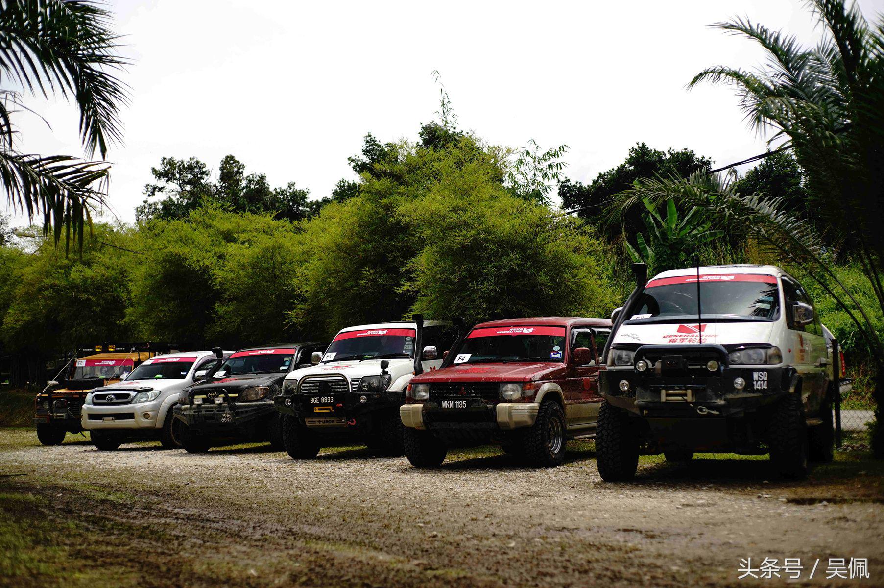 鲨鱼轮胎和普通轮胎区别,轮胎和鲨鱼皮哪个好