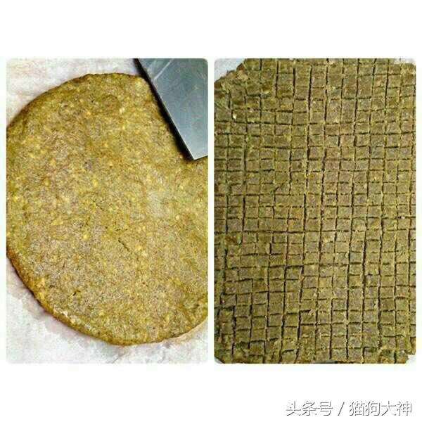 自制狗狗狗粮推荐,怎样自制经济方便的土狗狗粮