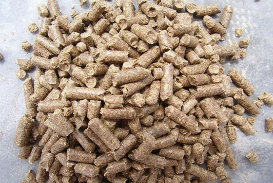 养猪技术篇——猪霉菌性肺炎的预防和治疗方案