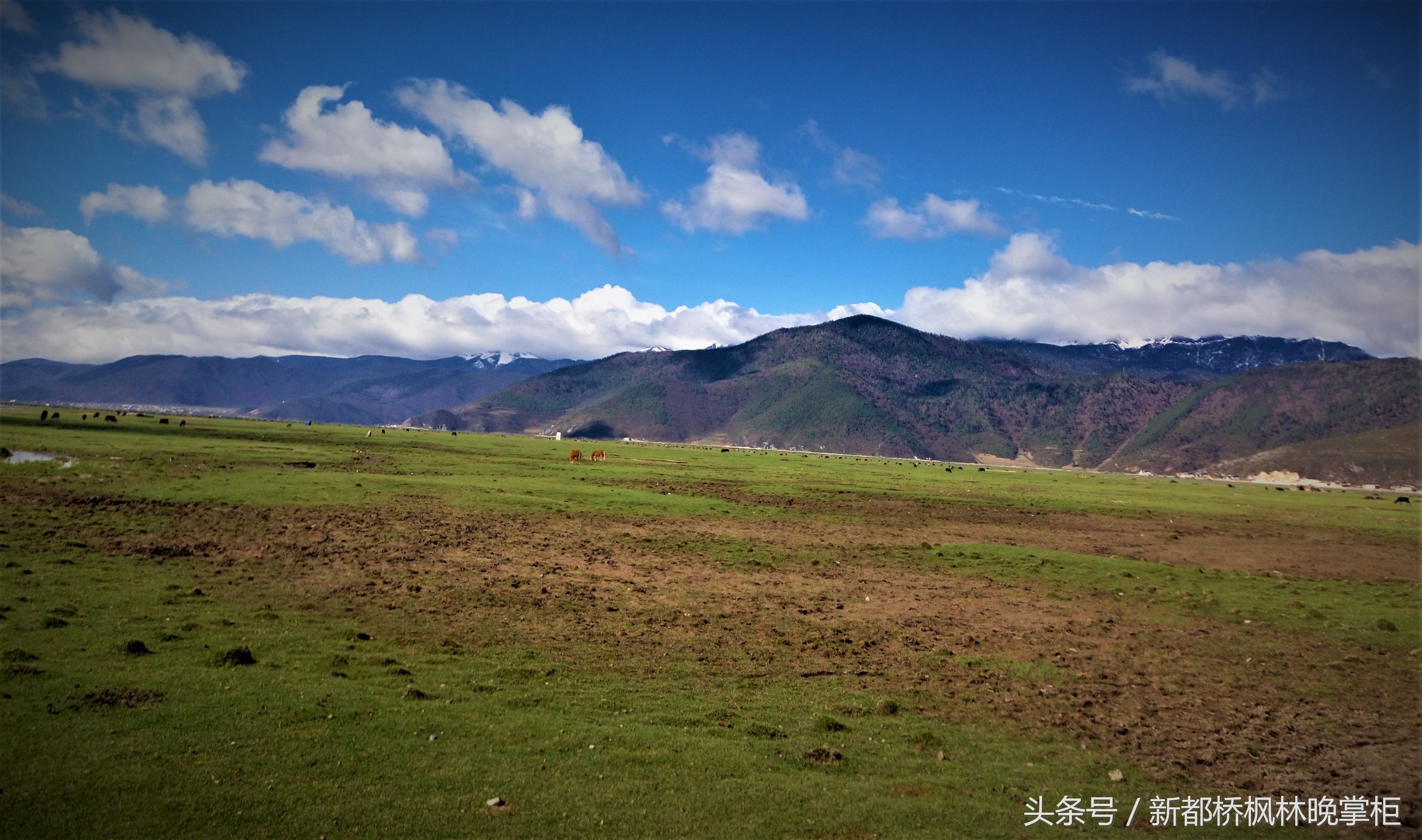 云南省拼车,云南拼车包车