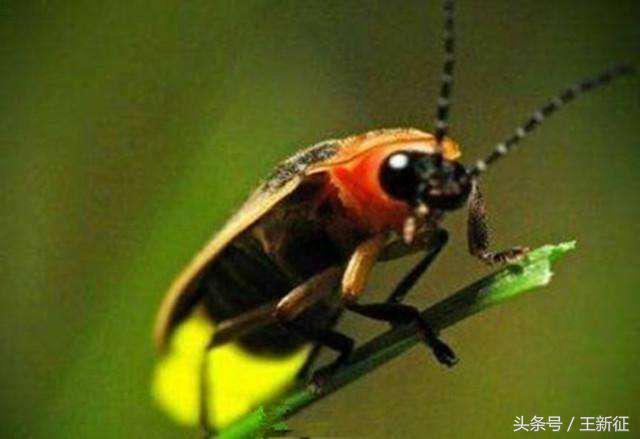 淘宝发布多款禁售产品,淘宝支付宝最新消息