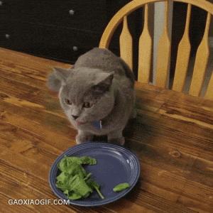 开心幽默短视频,幽默风趣时刻开心一下