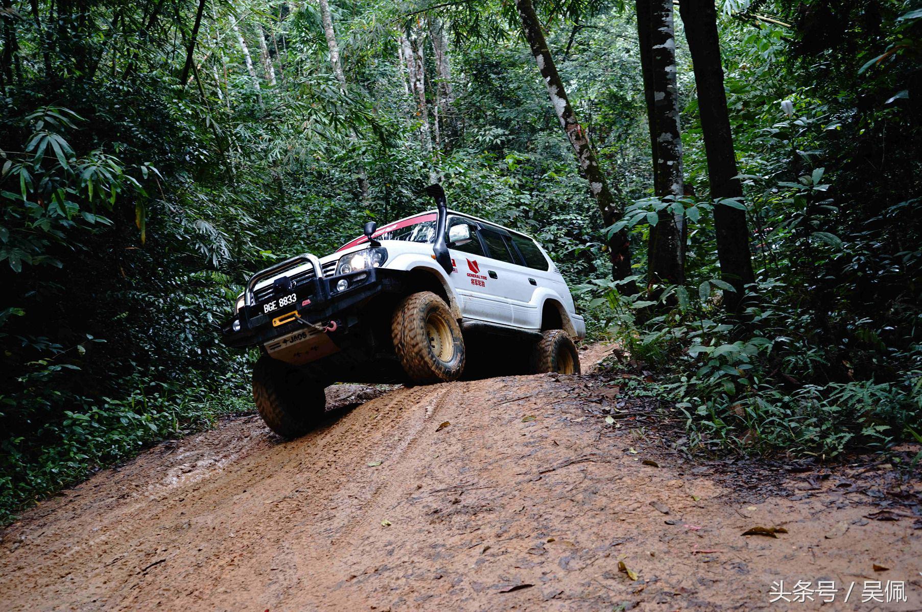 鲨鱼轮胎和普通轮胎区别,轮胎和鲨鱼皮哪个好