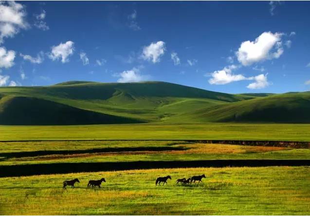 北京到青海自驾游最佳路线,北京至青海自驾游攻略