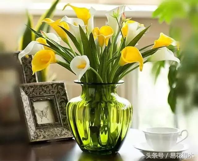 如何才能让马蹄莲复花,马蹄莲什么时候休眠什么时候开花