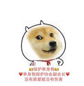 王者光荣十大cp排行你最看好哪个,盘点王者光荣中最甜的情侣cp