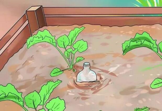 自制万能自动浇花神器,自动浇花神器自制