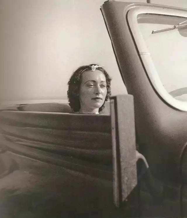 《锦灰堆美人计》它是你不用下山就能看到的莲花｜纯粹新书