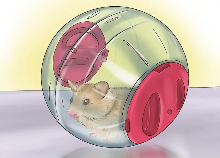 仓鼠在笼子里怎么跟我们接触,怎么让仓鼠趴笼子里去玩