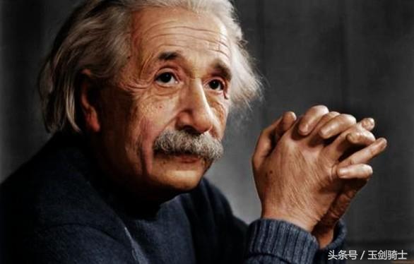 世界上最无畏惧的动物人称平头哥,世界十大凶猛动物平头哥